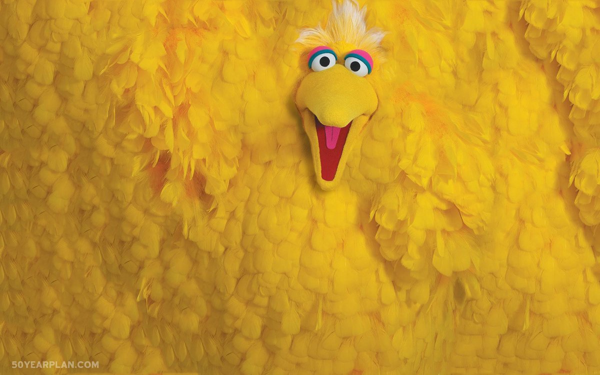 Muppet Wiki ✪ tweet media