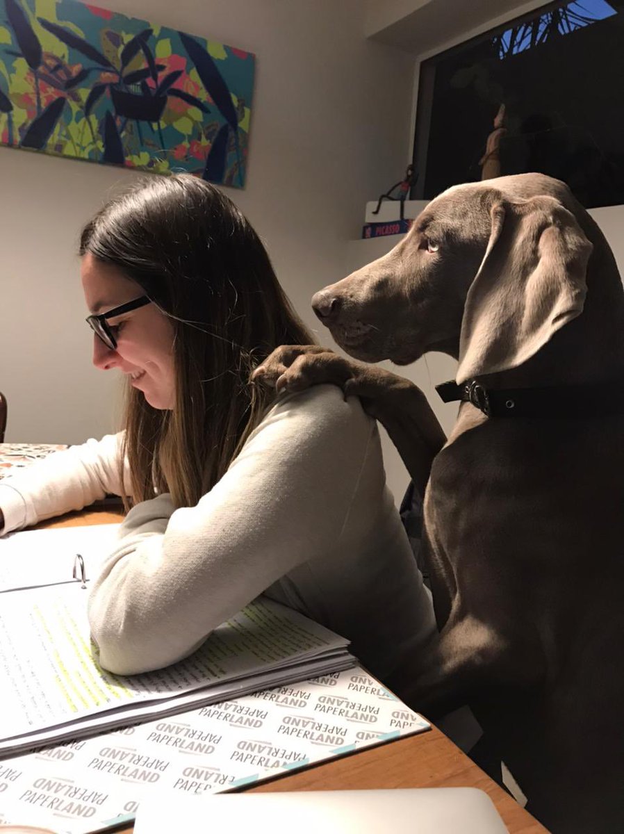 Vas a aprobar, humana, confío en vos… ❤️