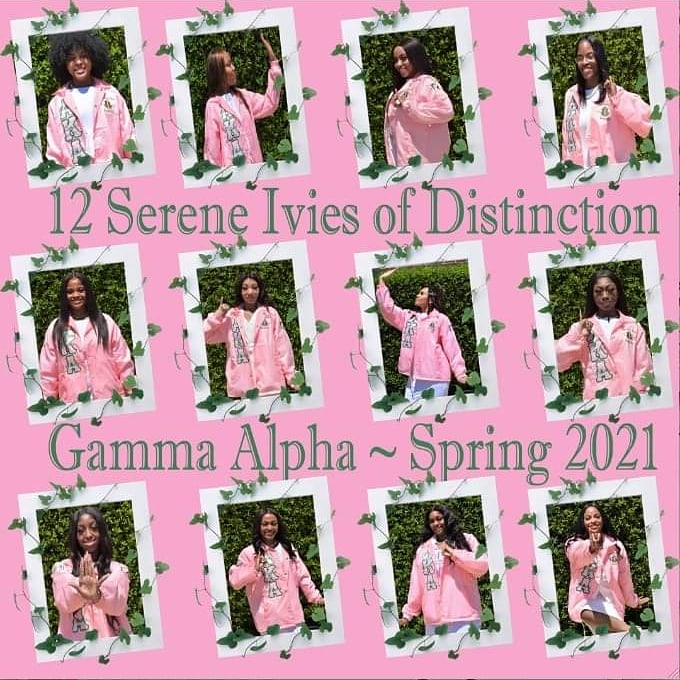 SouthCentralAKA's tweet photo. South Central let's give a big pink and green welcome to Spring 2021! Meet the 12 Serene Ivies of Distinction from the Alpha Kappa Alpha Sorority, Inc.® Gamma Alpha Chapter on the campus of Philander Smith College
#AKA1908 #WeAreSouthCentral #Spring2021 #GammaAlpha https://t.co/vTixtMmqh1