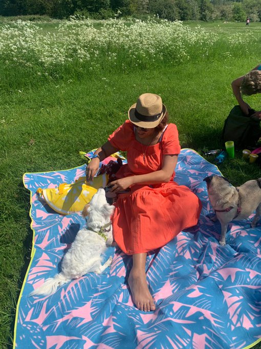 What a lovely bank holiday ☀️ https://t.co/HZWsWLvcuU