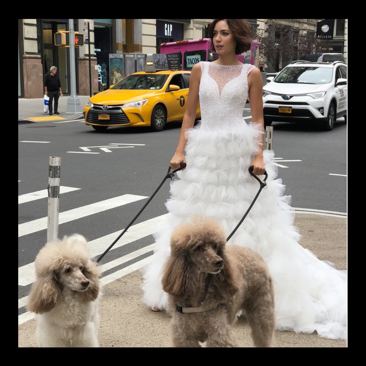 Eric Cohler tweet media