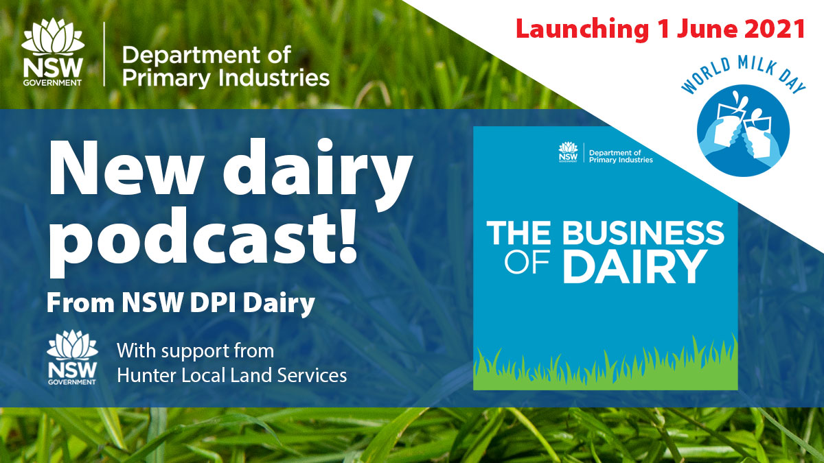 Lyons_Nico's tweet photo. Happy #WorldMilkDay! @nswdpi in collaboration with 
@llshunter is launching a new podcast today for dairy farmers and service providers, covering different aspects of farm management! #nswdpi #strongerprimaryindustries #nswdairy #hunterlls https://t.co/S2tuKbx7Y9 https://t.co/XaOfEStDOl