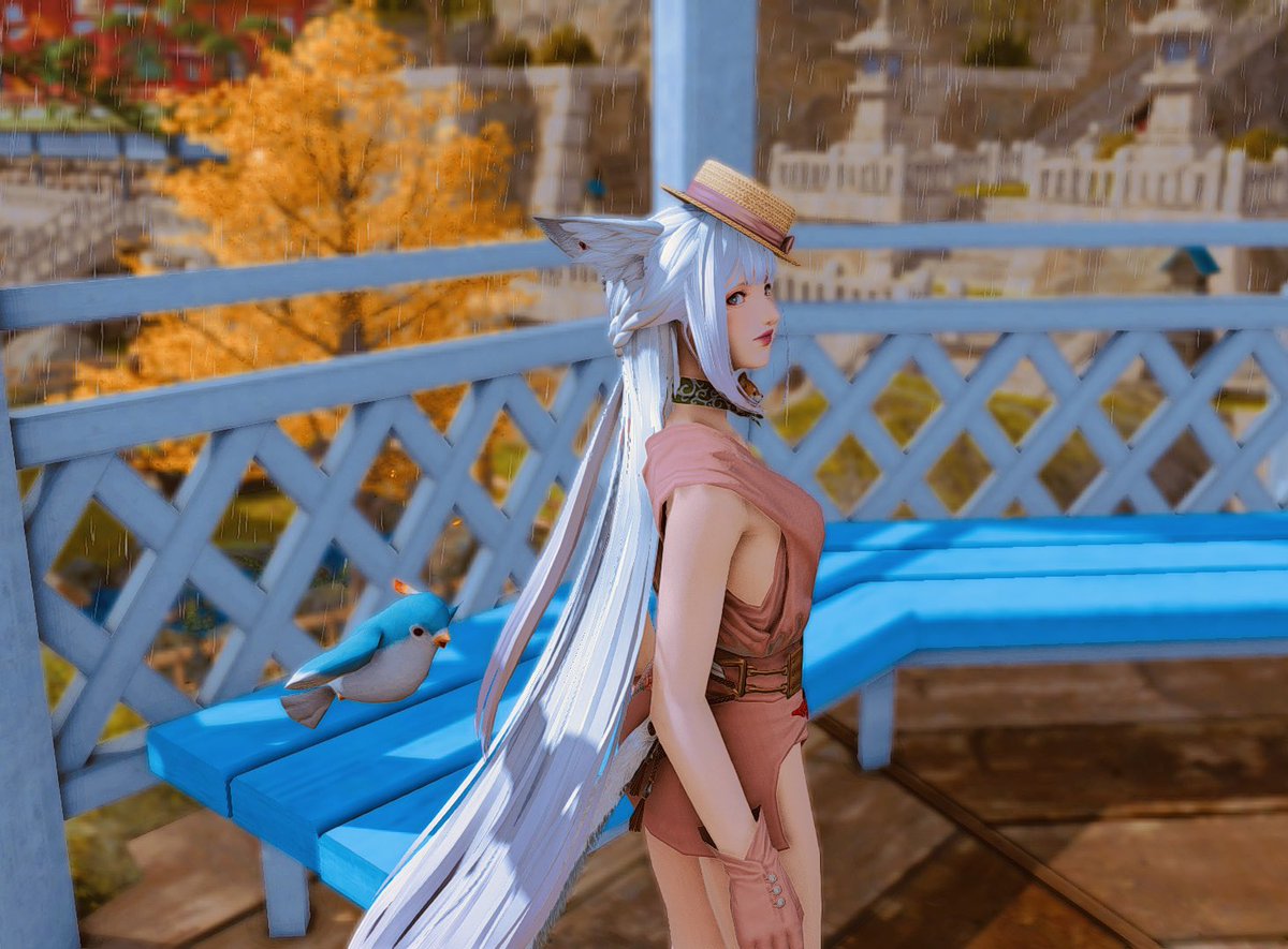 MissStarry3's tweet photo. Gazebo..

#GPOSERS #NenekoColorS #miqote #FFXIVScreenshots https://t.co/25Cxsc4p7n