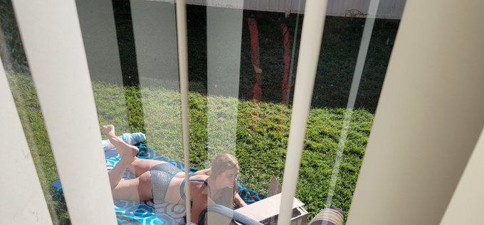 The view from the kitchen is nice this morning. https://t.co/1OpkLQAJIP<a href="/tag/stupidity"class="tags"><span>#stupidity</span></a><a href="/tag/crazyshit"class="tags"><span>#crazyshit</span></a><a href="/tag/donotinsert"class="tags"><span>#donotinsert</span></a>