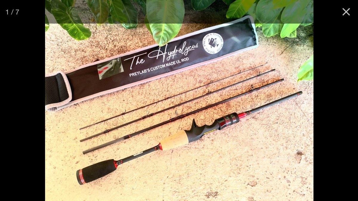 Top Tweets For パックロッド Instalker