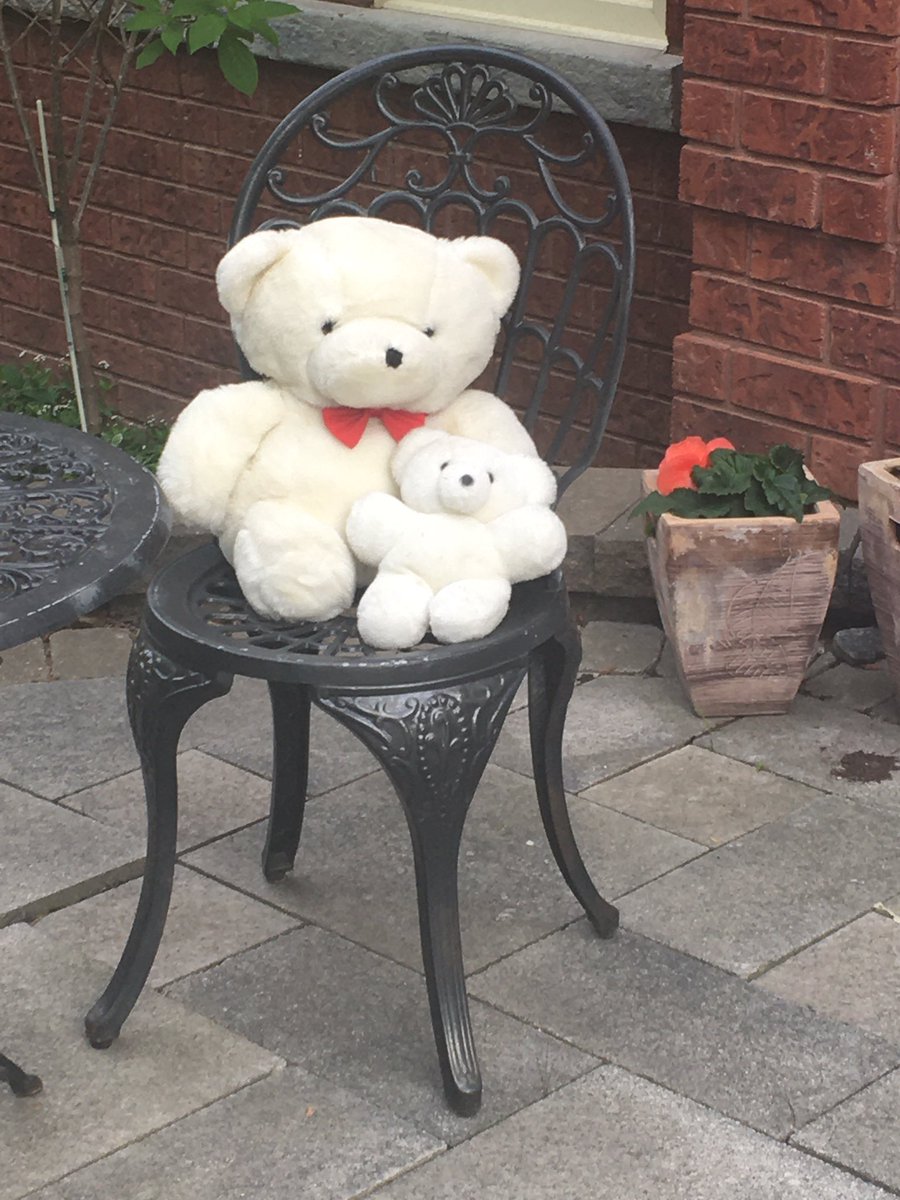 Laurel Schollen tweet media