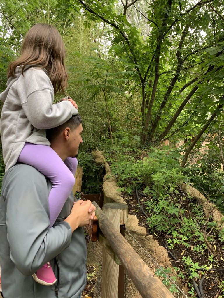 des_knupp's tweet photo. These two have my whole ♥️ https://t.co/pro6VFgyCj