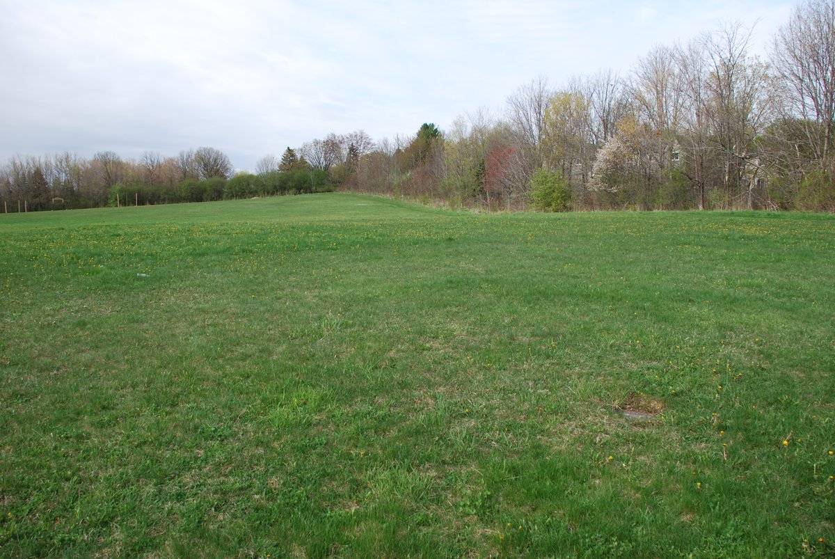 West Village Co-op tweet media