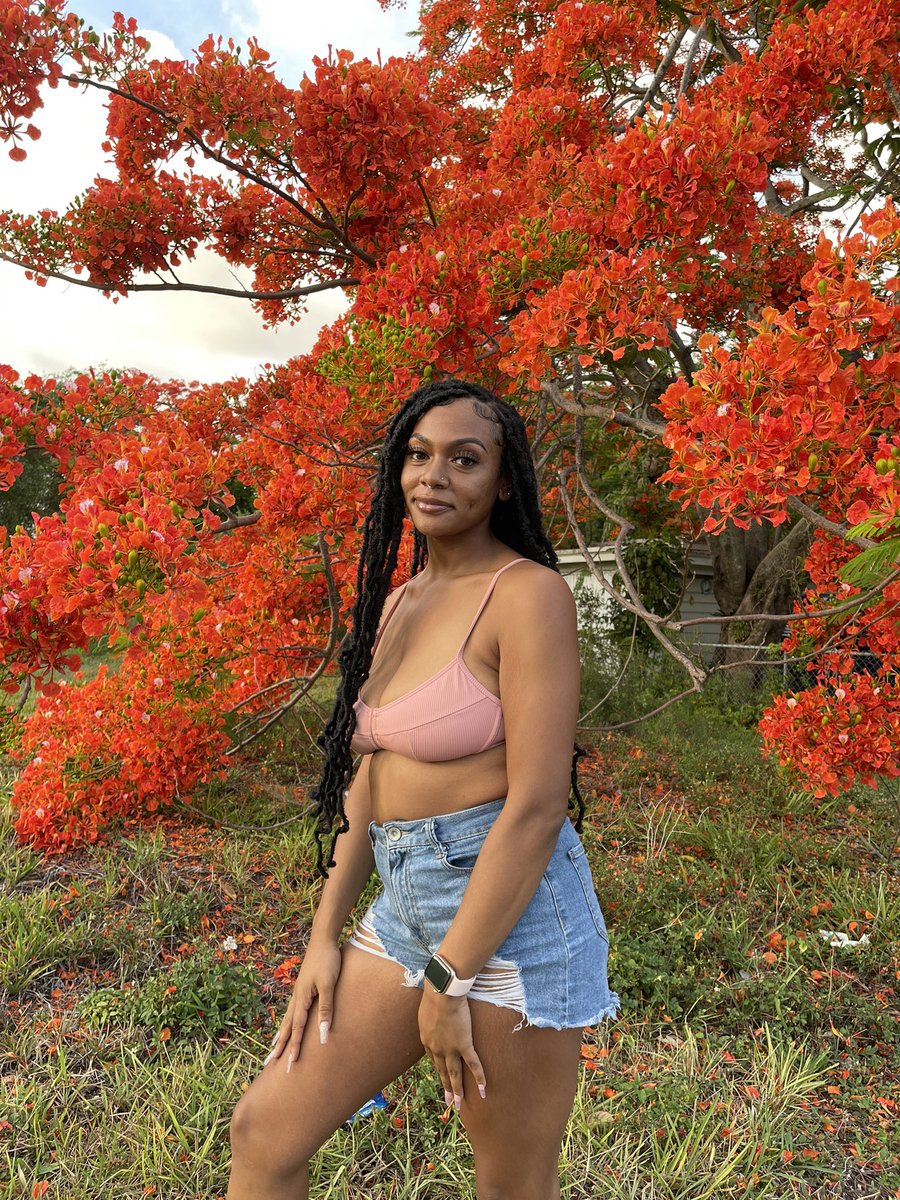 ChandlerCiera's tweet photo. orange u glad https://t.co/JFHMGZMRyh