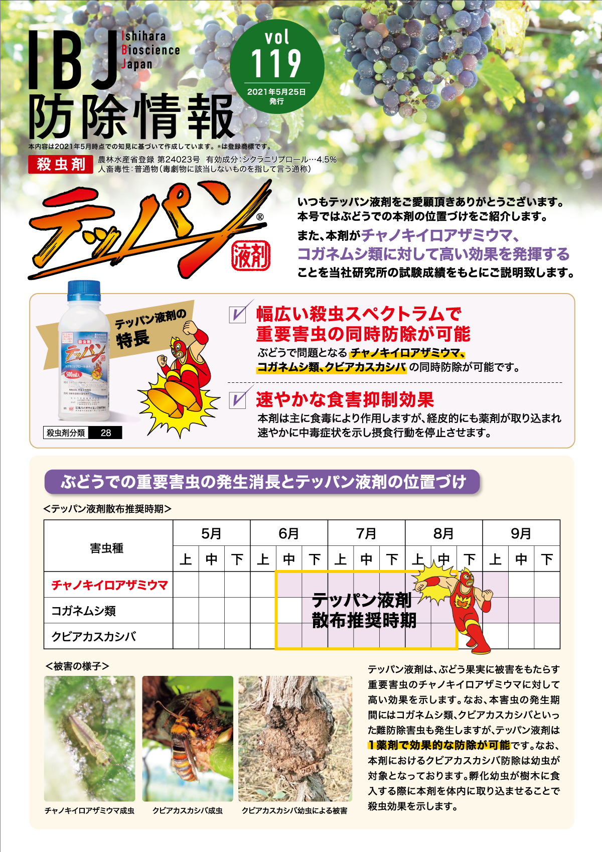 石原バイオサイエンス Ibj防除情報119号を更新致しました 本号では殺虫剤 テッパン液剤 のぶどうでの位置づけをご紹介します また 本剤がチャノキイロアザミウマやコガネムシ類に対して高い効果を発揮すること当社研究所の試験成績をもとにご説明致し