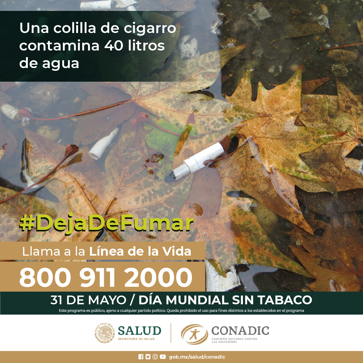 CECAQro's tweet photo. ¡El mejor momento para #dejar de #fumar es HOY!
#DejaDeFumar
#ComprométeteADejarDeFumar
#ComittToQuit
#ConadicTeEscucha
#CuidaTuSaludMental
#CecaQroTeAyuda
4421570536 https://t.co/fD6hSwmEnP