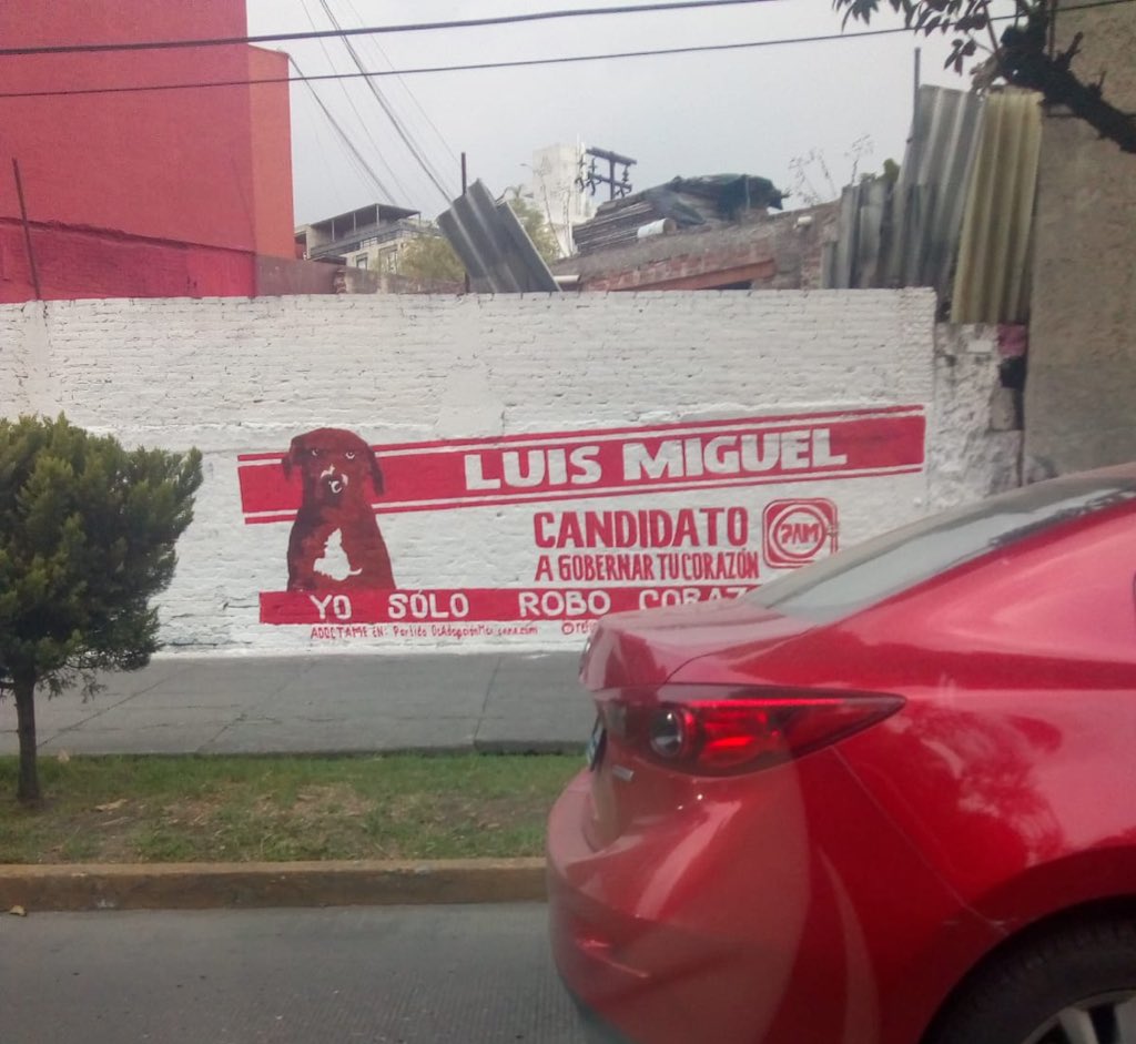 MascotasSismo's tweet photo. Me reportan avistamiento de propaganda del Partido de Adopción Mexicana (PAM). ¡Estos candidatos sí merecen nuestra atención! #CandidatosPerrones 🐶 
https://t.co/mvgJ0Mxu66
 @GregorioRefugio https://t.co/LHYCHzIqe2