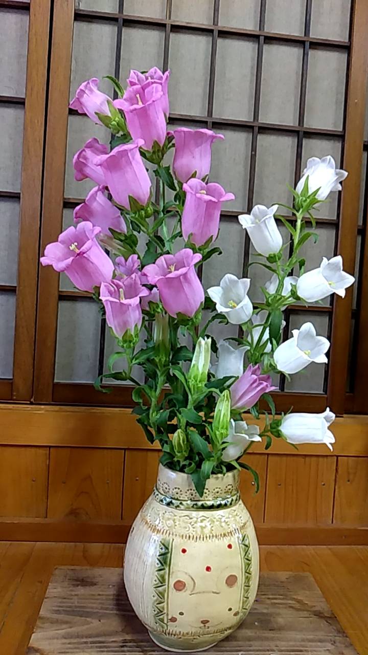 花瓶 بحث في تويتر تويتر