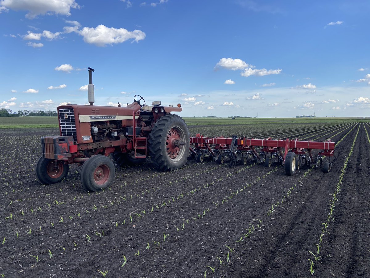 Jamie O'Dowd tweet media