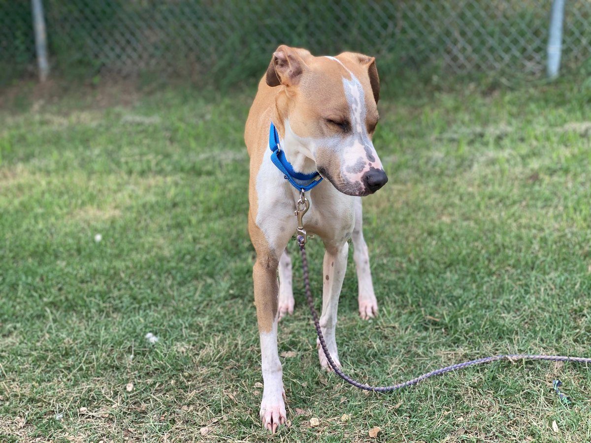 Please don't say the long weekend is coming to an end... Baby Pink isn't ready. bit.ly/3yPfU5X