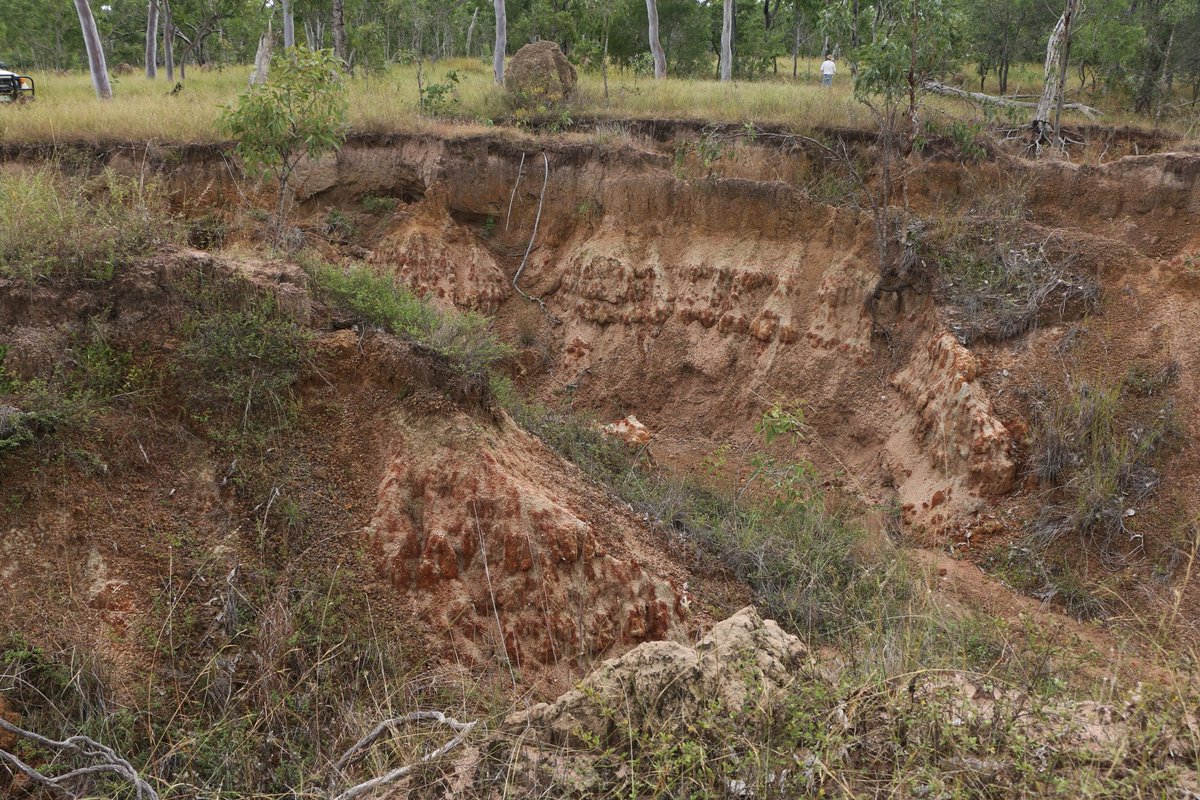 Great news. A new $3.2 million project to clean up the water flowing down the Herbert River & out to the #GreatBarrierReef lagoon. We'll be working with #graziers, @TheMulloonInst & more thanks to the Aust Govt's #ReefTrust & @GBRFoundation. More here: bitly.ws/dFW9