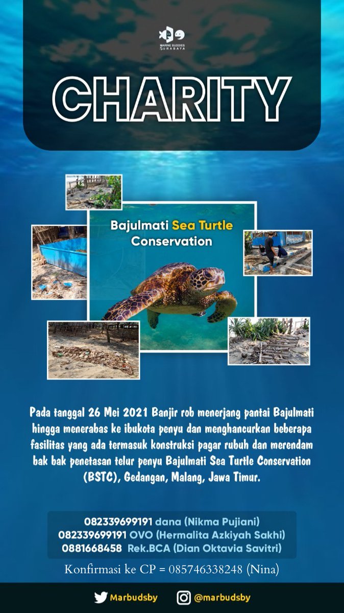 Pada tanggal 26 Mei 2021 Banjir rob menerjang pantai Bajulmati hingga menghancurkan beberapa fasilitas yang ada termasuk konstruksi pagar rubuh dan merendam bak bak penetasan telur penyu Bajulmati Sea Turtle Conservation (BSTC, Gedangan, Malang, Jawa Timur.