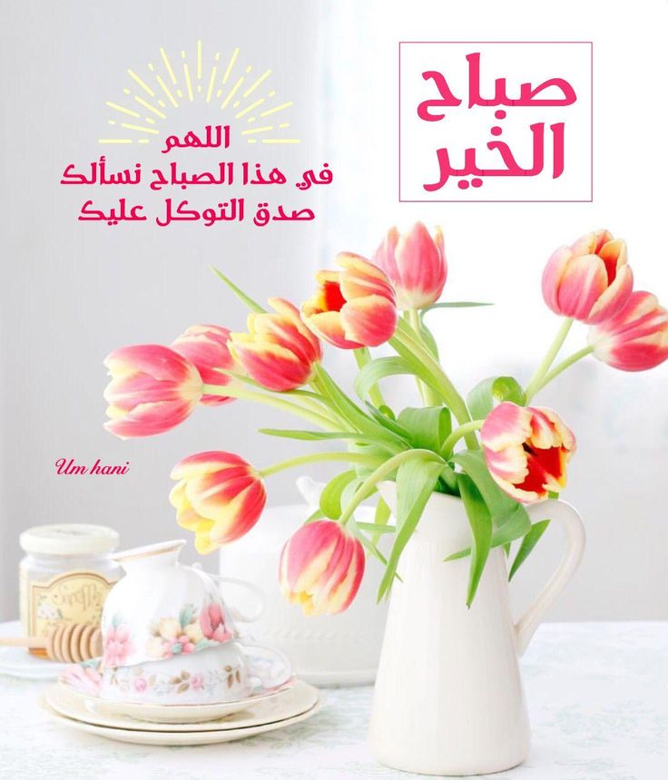 صـــــد𝓈𝒶𝒹𝒶𝒻𝓈𝒽𝑒𝓇𝒾𝒻𝒻فـــ tweet media