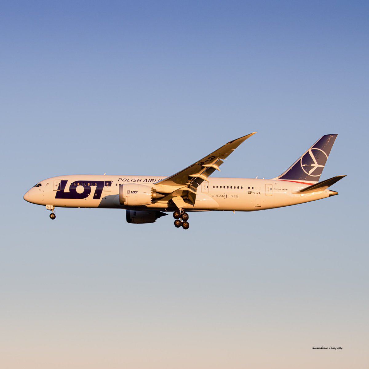 AviationBeavers's tweet photo. LOT Polish Boeing 787-8 Dreamliner on short final for runway 05 after a flight from Warsaw!
-
@TorontoPearson 
@simple_flying 
@AeronewsGlobal 
@airwaysmagazine 
@SkiesMag 
@Boeing 
-
#avgeek #lotpolish #polishairlines #warsaw #Toronto #yyz #planespotting #planespotter #aviation https://t.co/37auHBhTZj