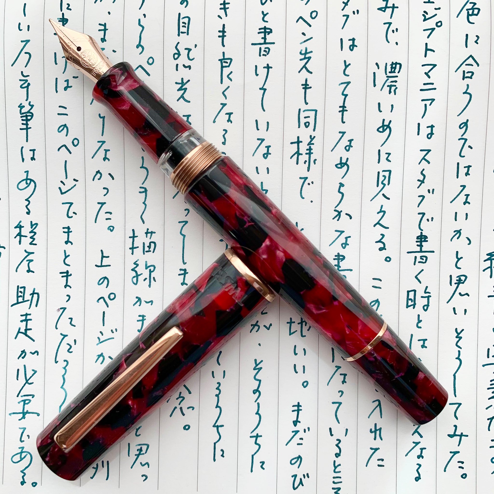 TWSBI ツイスビー 万年筆 特別生産品 Draco ドラコ EF 極細字
