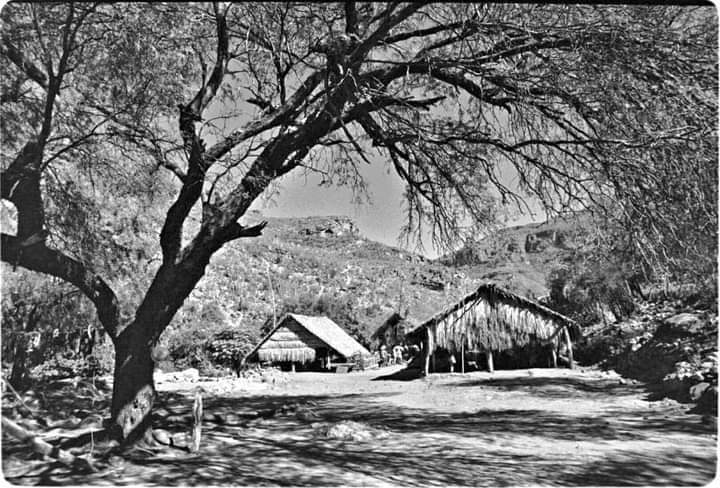 Paradoxa28's tweet photo. #Biblioteca, Rancho "Vivelejos" de los más remotos en la sierra de #Guadalupe en el municipio de #Mulegé #BajaCaliforniaSur. Año de tomas: 1980.

Del libro "Los Últimos Californios" de Harry W. Crosby.

#AHPLM52Aniversario
#CulturaBCS https://t.co/Z6EE42ViXz