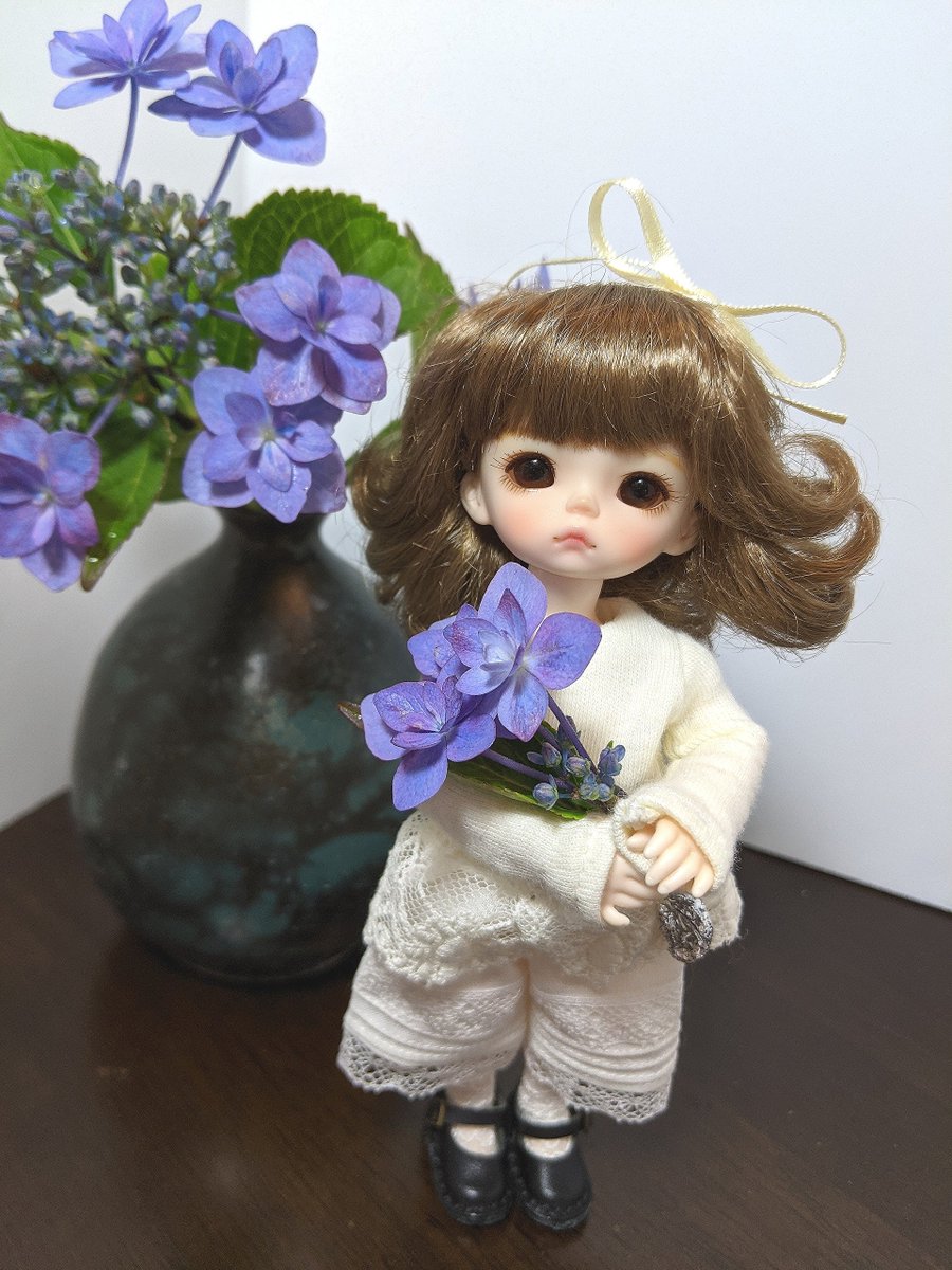 2020Marron's tweet photo. 今日から6月・・・
お庭の額アジサイが咲きました💕
一輪挿し用に切ったついでにanneちゃん用に手持ち部分にアルミを巻いて小さな花束を~💐
額アジサイの花言葉は「謙虚」❣️
#imda
#imdadoll
#imdaanne https://t.co/RvFR3ivM79