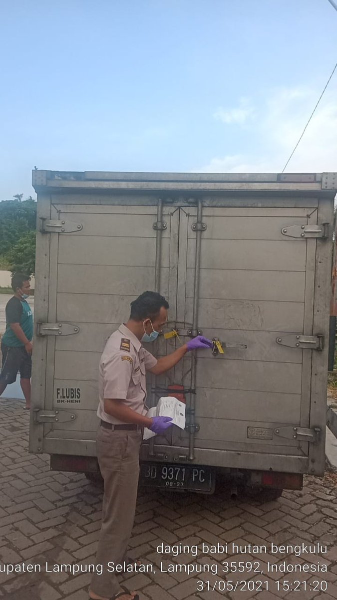 KarantinaLPG's tweet photo. Pejabat Karantina Pertanian Lampung, lakukan Pemeriksaaan daging #celeng asal Bengkulu tujuan Taman Satwa #Semarang. Pengawasan menggunakan teknologi Global Positioning System  #GPS.

@Barantan_RI 
@kementan 
#KarantinaPertanianLampung https://t.co/hOY8Do8OvM