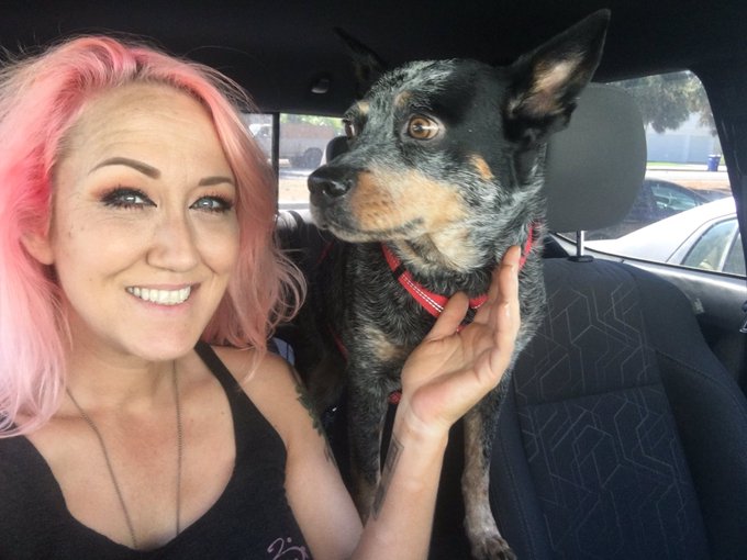 Some one is ready for a road trip! https://t.co/VNRiXfmv1s<a href="/tag/xbizcreatorawards"class="tags"><span>#xbizcreatorawards</span></a>