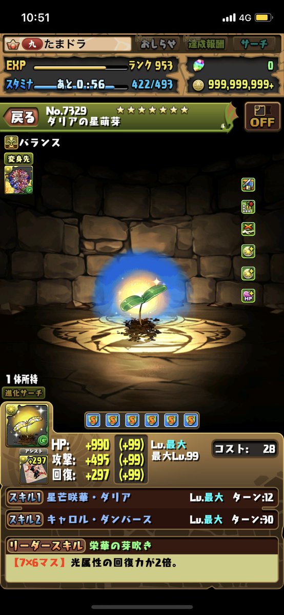 パズドラ X ハイビスカス Hotワード