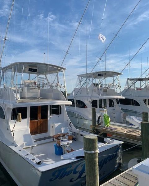 BillfishReport's tweet photo. Morehead City, NC - Buy Out went 1-1 on Blue Marlin. https://t.co/atu6S0f2yH