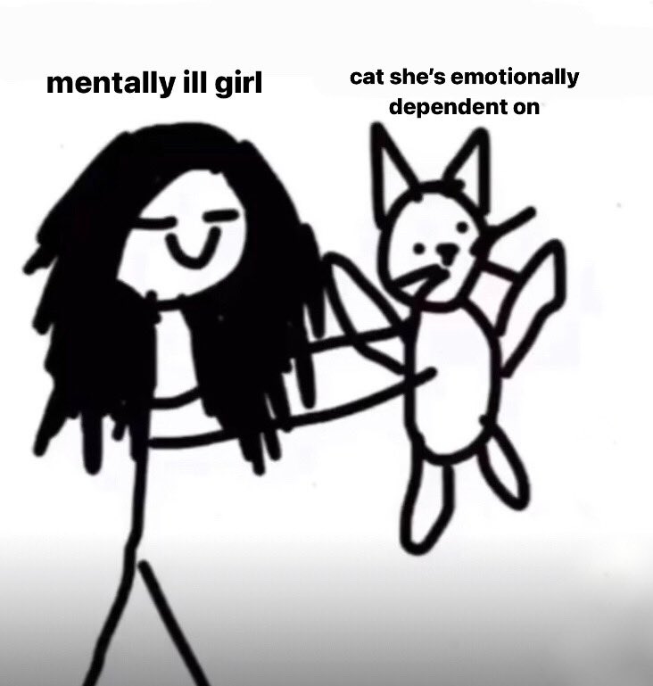 quenblackwell's tweet photo. emotional support animals https://t.co/ArAZ1Z7t0g