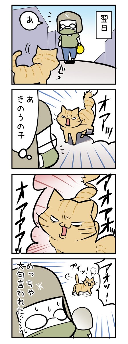 ねこのケンカを仲裁した夜のはなし🌙🐈 