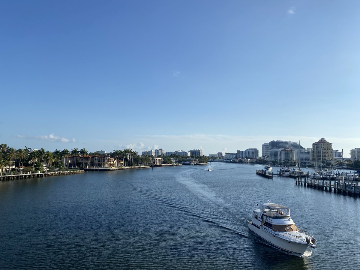 rushedantics tweet media