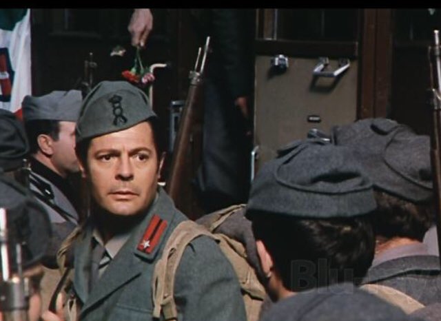 전쟁 속 비극적 사랑, 실종된 남편을 찾아다니는 여인의 순애보 #ebs영화 #고전영화 < #해바라기 > #이탈리아영화 #명작영화 6/4(금) 밤 24:55 #소피아로렌...