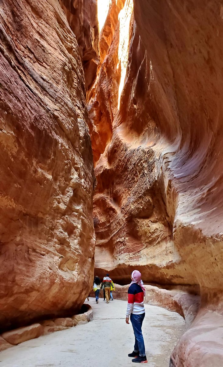 BookingJordan's tweet photo. A once ancient that lies in modern-day Jordan, Petra is one of the major attractions in the Kingdom that is waiting for you to discover and explore. 

#BookingJordanTours #BookingJordan #visitJordan #visitPetra #traveltoJordan #exploreJordan #myjordanjourney #PetraJordan https://t.co/0X6KP0P6Q1