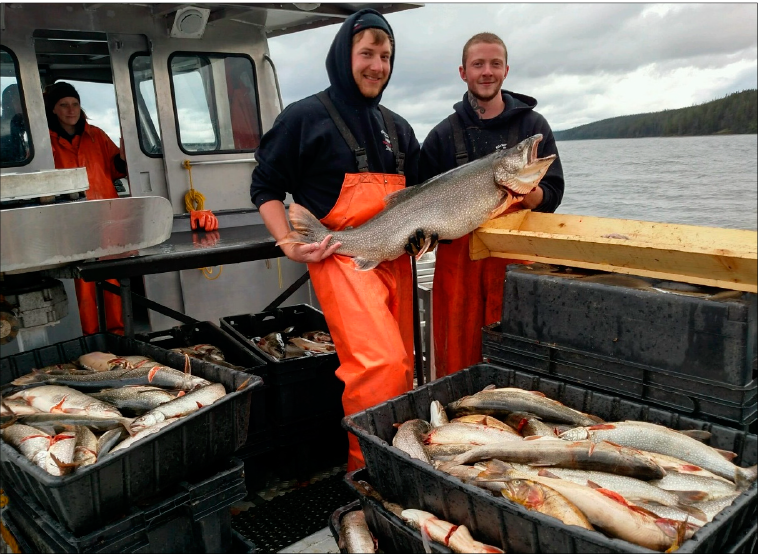 Fishes_MDPI's tweet image. #Yellowstone Lake #EcosystemRestoration: A Case Study for #InvasiveFish Management
doi.org/10.3390/fishes…
Correspondence: Todd M. Koel @YellowstoneNPS @QFCatMSU @ynpforever @MT_CGuy @USGSCoopUnits @MTIoE @TroutUnlimited @NatlParkService @NMDGF @NOAAFisheries 
#FishInvasion