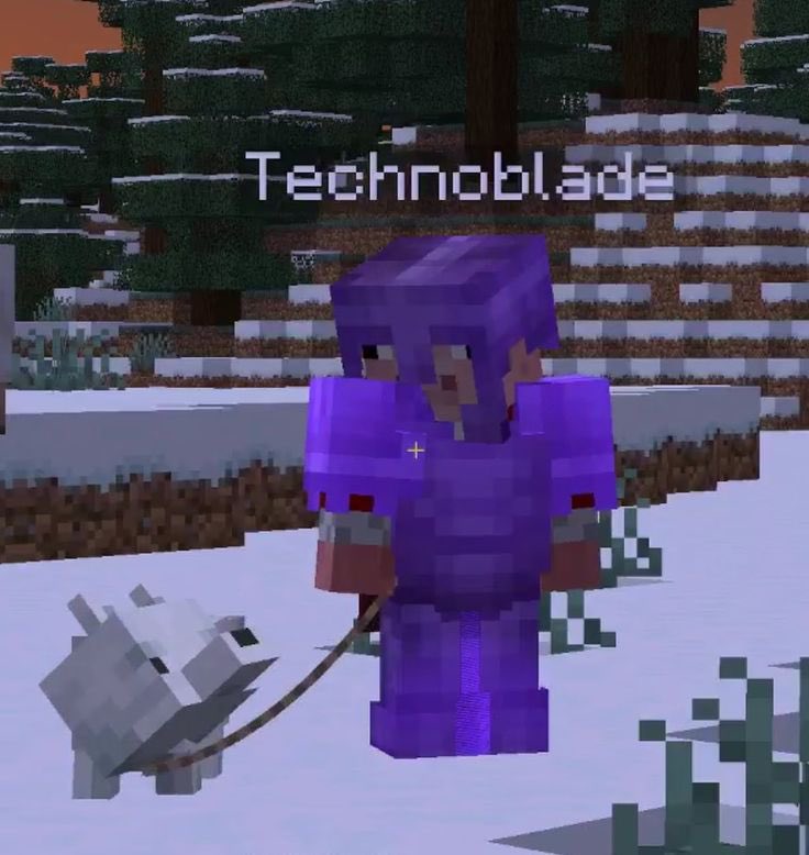 dayswithouttec's tweet photo. happy birthday to our favorite! we hope you have a good day old man <3 technotwt loves and misses you! 😄 #HappyBirthdayTechnoblade 💗 ps, get better at pvp plz.. /j https://t.co/zaz3XQ9RjH