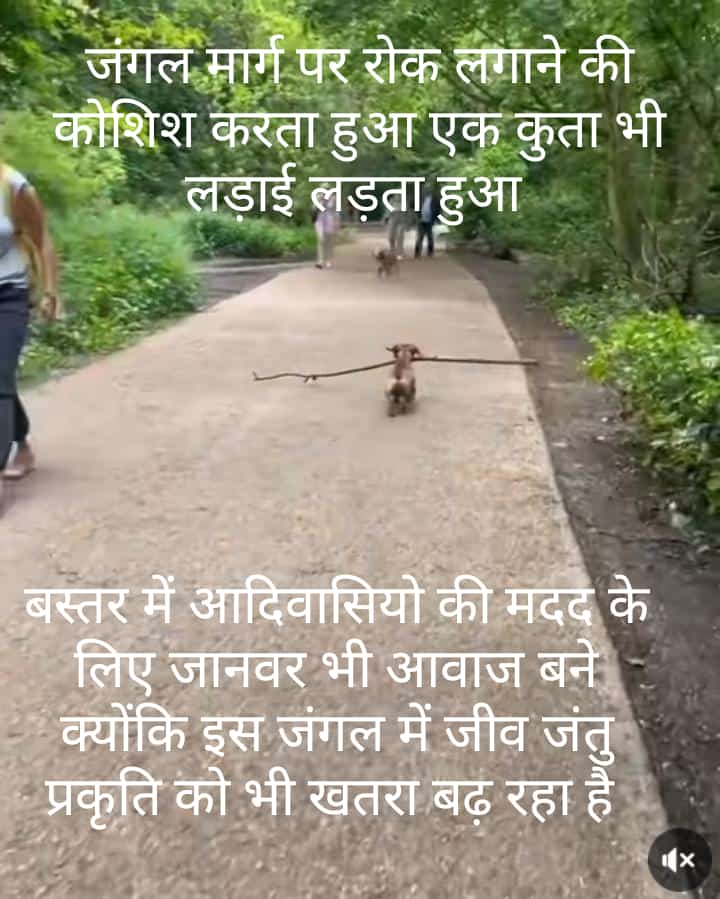 बस्तर में आदिवासियों को बहुत खतरा है