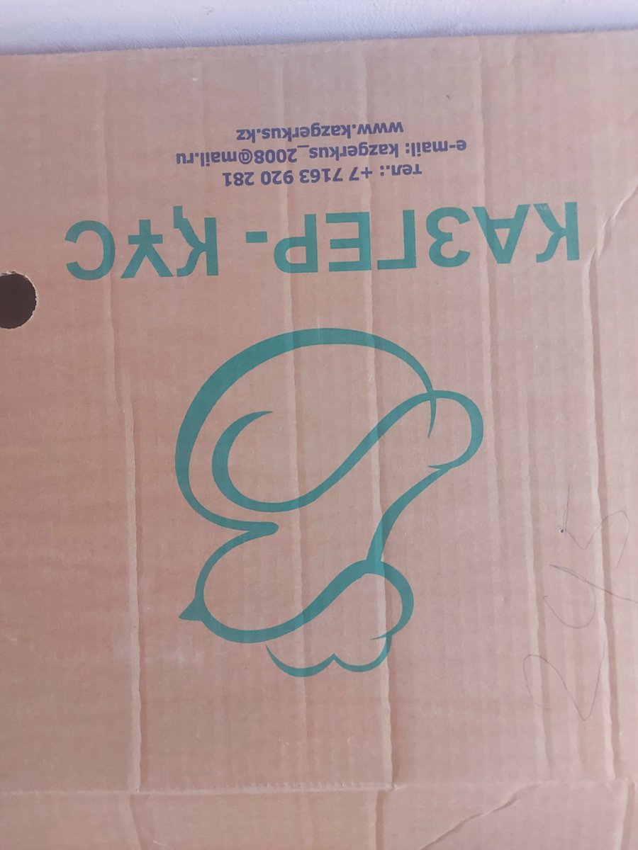 uyatsyzbala's tweet image. если ты видишь писюн, то ты видишь писюн