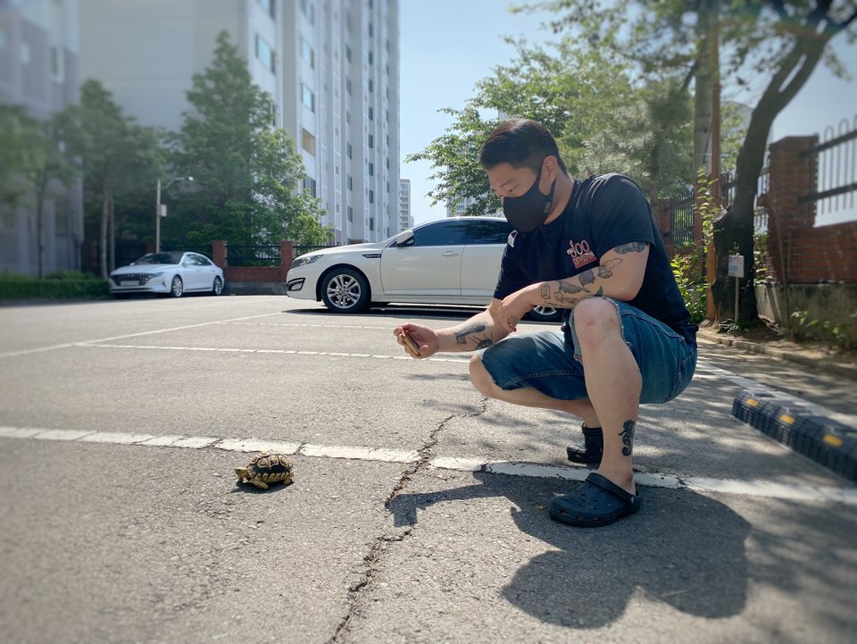 bdoec's tweet photo. 루치🐢 

#레오파드육지거북 #육지거북 #반려동물 #파충류 #Leopardtortoise #tortoise #땅거북  #Geochelonepardalis #동물조련이벤트과 #동물사육복지과 #동조과 #동사과 #동물조련이벤트학과 #동물사육복지학과 #거북이 #거북 https://t.co/vygiU6nMEL