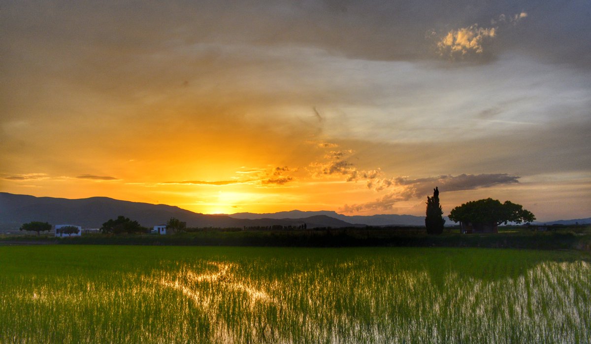 Últim capvespre de maig.
L❤VE DELTA.

@turismelarapita <a href="/catalunya/">Catalunya</a>
@eltempsTV3 #eltempstv3
<a href="/javioru/">Javi Martinez</a> <a href="/ARAmeteo/">ARA Méteo</a> <a href="/tiempobrasero/">Tutiempo</a>
<a href="/aquilatierratve/">Aquí la Tierra</a> 
<a href="/TiempoEnEspana/">El Tiempo en España</a>
<a href="/ElTiempoA3/">El Tiempo de Antena 3</a> @canal21ebre
<a href="/SoniaPapell/">Sònia Papell Caimons</a>  
<a href="/eltiempoGCM/">El Tiempo GCM</a> <a href="/el_tiempohoy/">El Tiempo Hoy</a> 
<a href="/apuntoratge/">À Punt Oratge</a> 
<a href="/jjanue/">Jofre Janué @jjanue.bsky.social</a>
<a href="/enricagud/">enric agud 🌕</a>