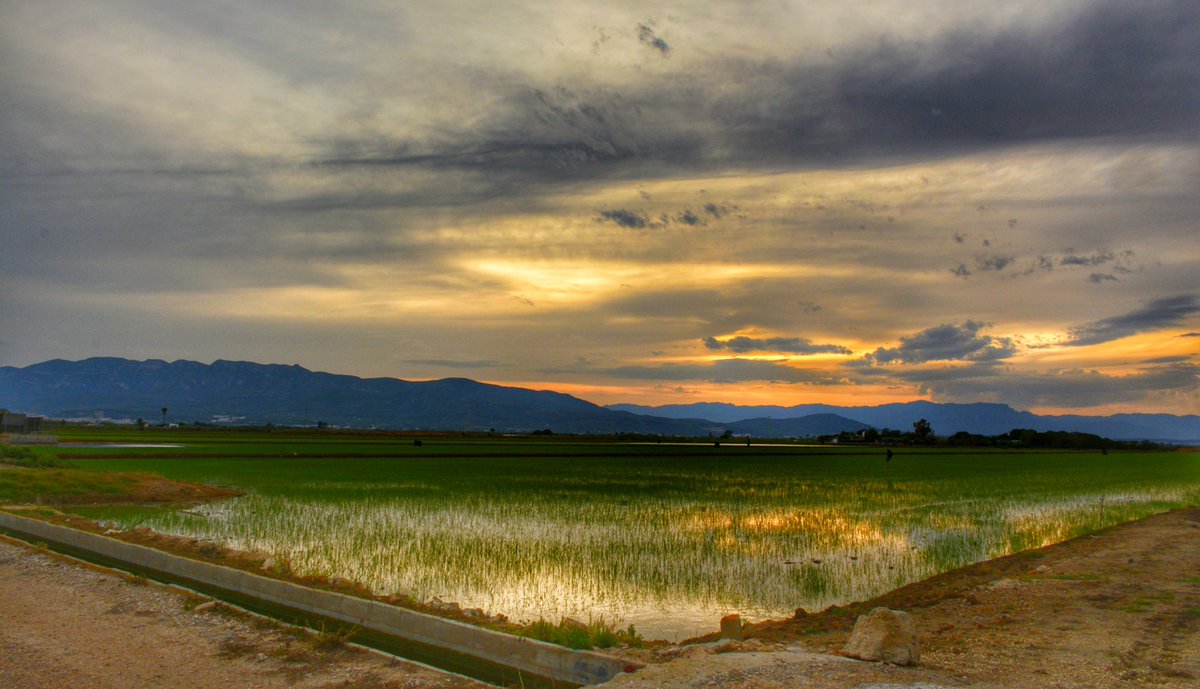 Últim capvespre de maig.
L❤VE DELTA.
@turismelarapita 
@eltempsTV3 #eltempstv3
<a href="/javioru/">Javi Martinez</a> <a href="/ARAmeteo/">ARA Méteo</a> <a href="/tiempobrasero/">Tutiempo</a>
<a href="/aquilatierratve/">Aquí la Tierra</a> 
<a href="/TiempoEnEspana/">El Tiempo en España</a>
<a href="/ElTiempoA3/">El Tiempo de Antena 3</a> @canal21ebre
<a href="/SoniaPapell/">Sònia Papell Caimons</a>  
<a href="/el_tiempohoy/">El Tiempo Hoy</a> 
<a href="/apuntoratge/">À Punt Oratge</a> 
<a href="/jjanue/">Jofre Janué @jjanue.bsky.social</a>
<a href="/enricagud/">enric agud 🌕</a>