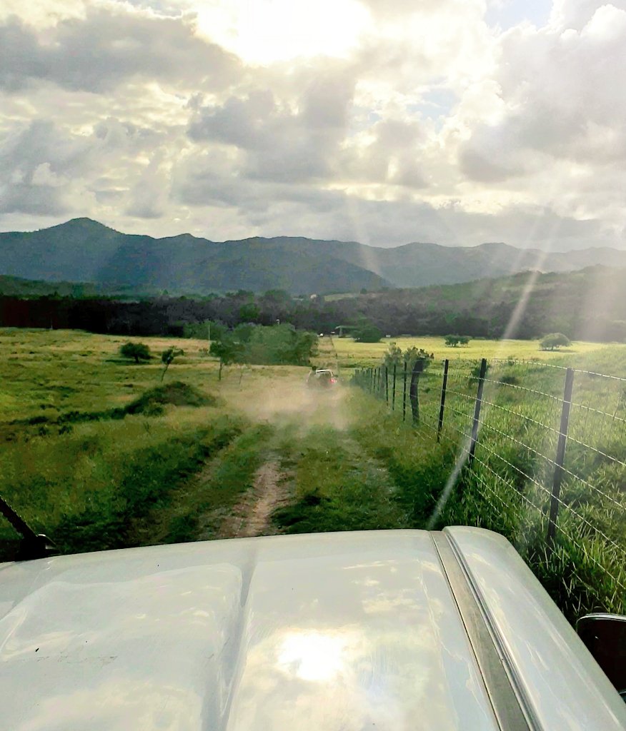 Sur les routes de mon pays 😎🤠🇳🇨