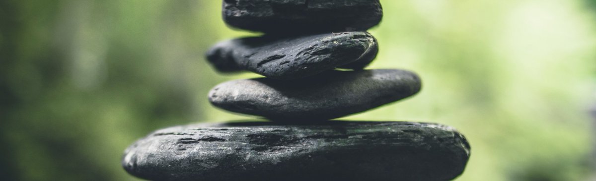 Check out @BERLEconomics’s blog post, featuring The Wellbeing Protocol through an interview with Mark Pascal: berl.co.nz/our-pro-bono/v…
It’s part of their Value and Values series, which explores what happens when the two intersect.