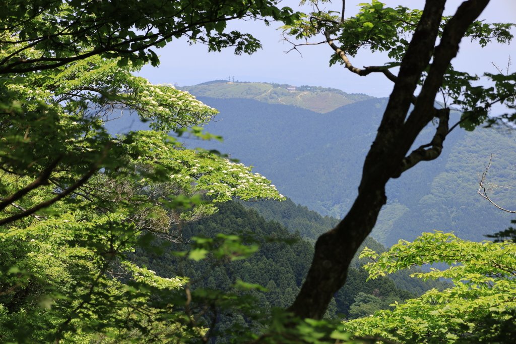 Fufu Fufunishiomb293 Twitter