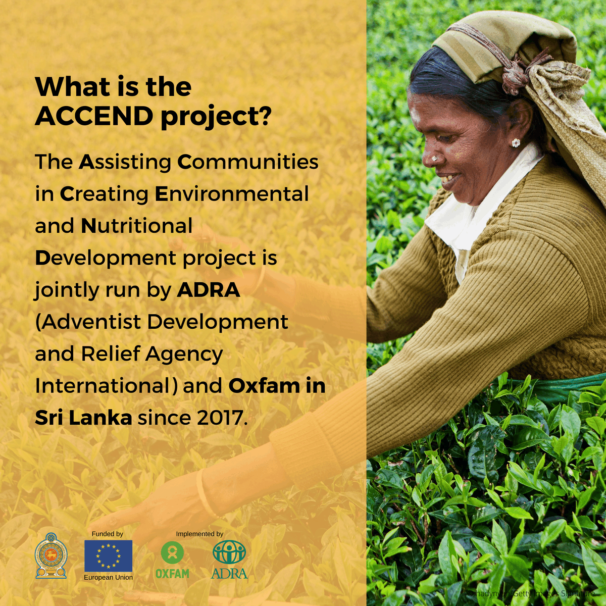 OxfamSriLanka's tweet photo. The HLEAD Report is part of the efforts carried out by the ACCEND Project. But what is the ACCEND Project and what does it do? 

Swipe to find out.

#HLEAD #OISL #ADRA #ACCENDProjectLK #EU #PlantationSector #DRR #WaterandSanitation #Health #GBV #Equality #WomenLK https://t.co/aTvdwrN4CP