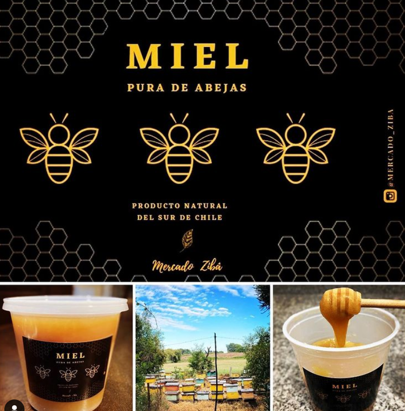 CompraloAhoraCL's tweet photo. Miel pura de abeja desde la 8va región, con delivery en RM. Precio especial Cyber $4.800 + envío.

#CyberDay2021 #CyberDay #CyberPYME

https://t.co/mxfr4lJg4z https://t.co/vNnxnnr1m9