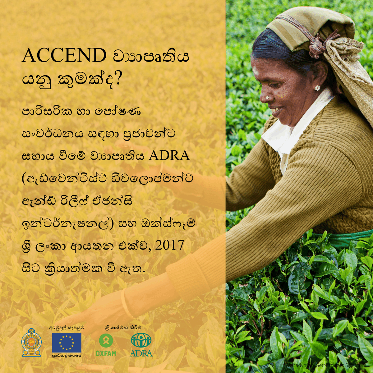 OxfamSriLanka's tweet photo. HLEAD වාර්තාව ACCEND ව්‍යාපෘතිය මගින් සිදුකරන ප්‍රයත්නයන්හි කොටසකි. නමුත් ACCEND ව්‍යාපෘතිය ය��ු කුමක්ද සහ එය කරන්නේ කුමක්ද? 

සොයා ගැනීමට ස්වයිප් කරන්න.

#HLEAD #OISL #ADRA #ACCENDProjectLK #EU #PlantationSector #DRR #WaterandSanitation #Health #GBV #Equality #WomenLK https://t.co/XvCnLZe9EK