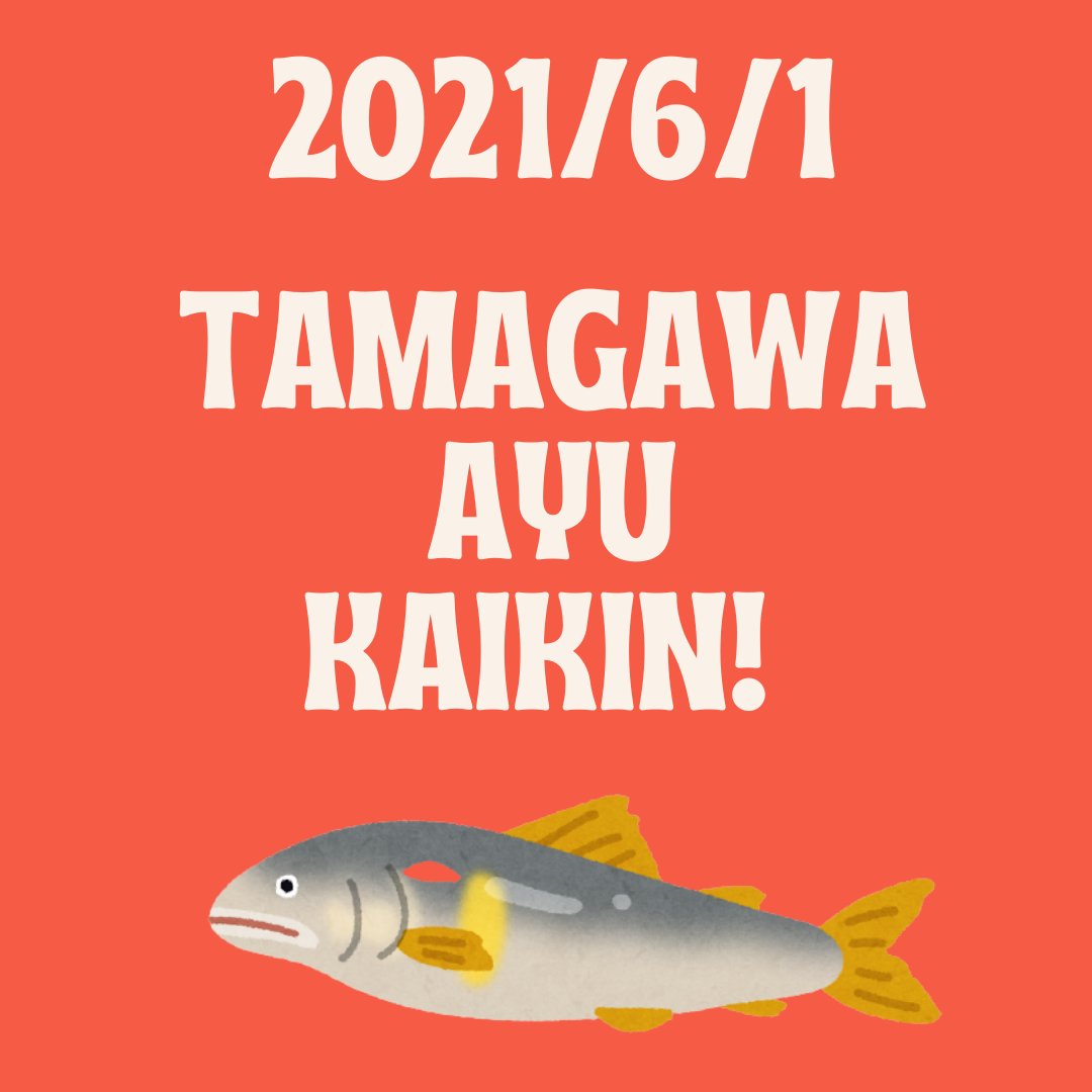 多摩川漁協 昭島支部 Tamagyo Akishi Twitter 多摩川漁協 昭島支部 Tamagyo Akishi Twitter