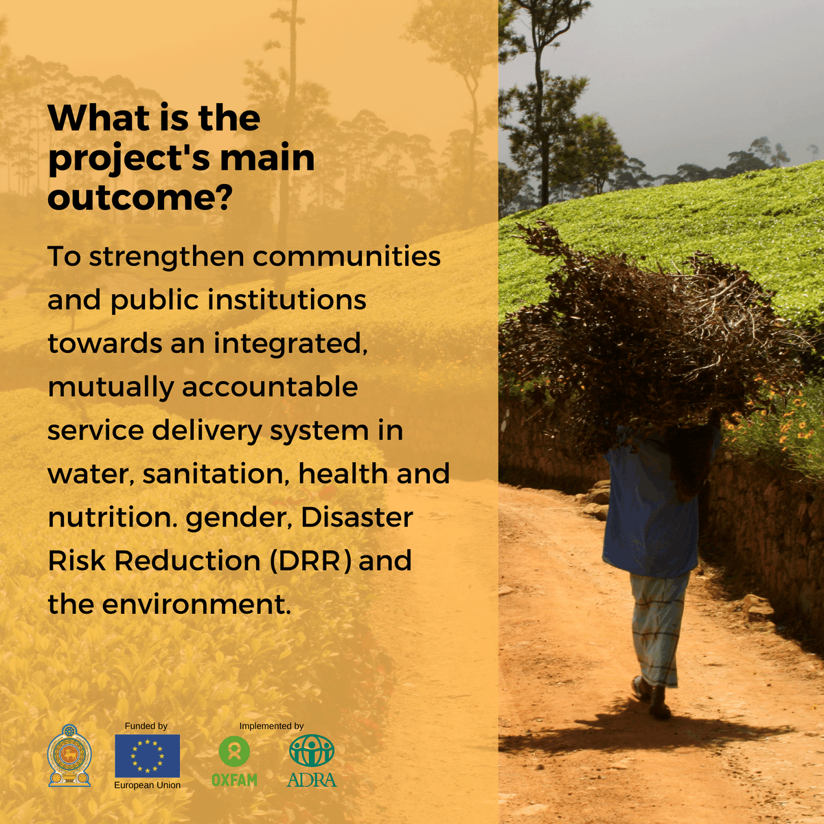 OxfamSriLanka's tweet photo. The HLEAD Report is part of the efforts carried out by the ACCEND Project. But what is the ACCEND Project and what does it do? 

Swipe to find out.

#HLEAD #OISL #ADRA #ACCENDProjectLK #EU #PlantationSector #DRR #WaterandSanitation #Health #GBV #Equality #WomenLK https://t.co/aTvdwrN4CP